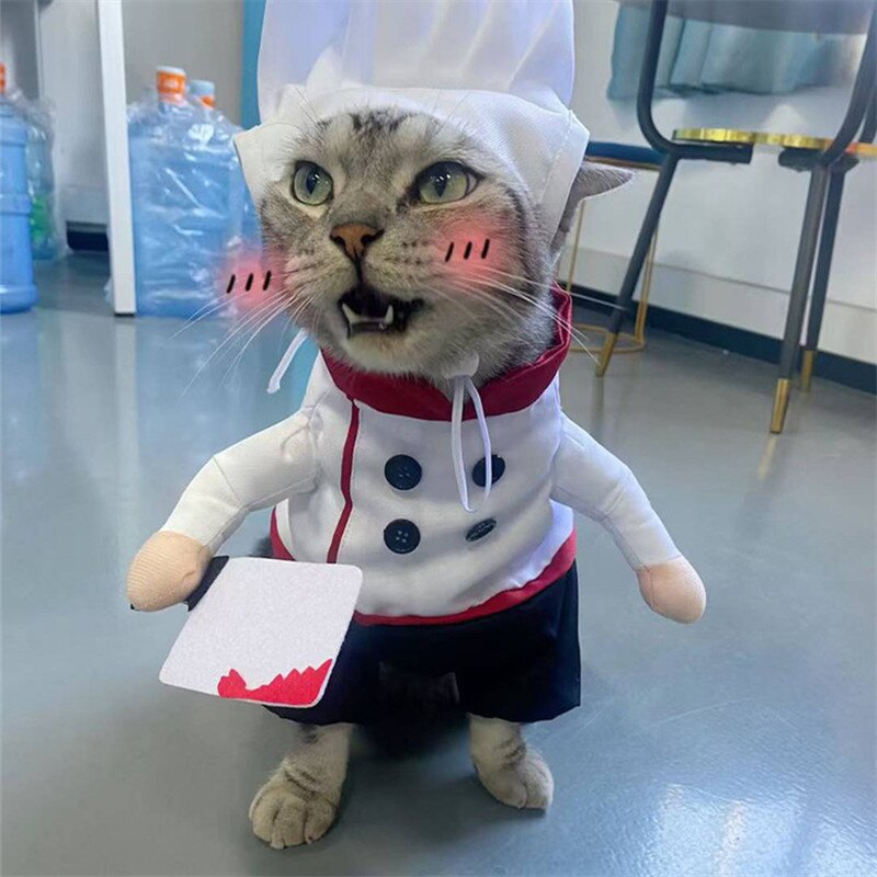 Pet Costume Manufacturer - Chef Killer Transformation Dress