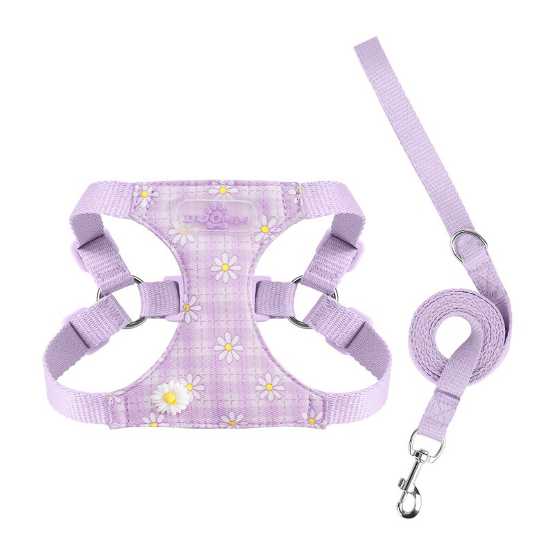 Pet Harness Set Manufacturer - Daisy Print Small Dog Set