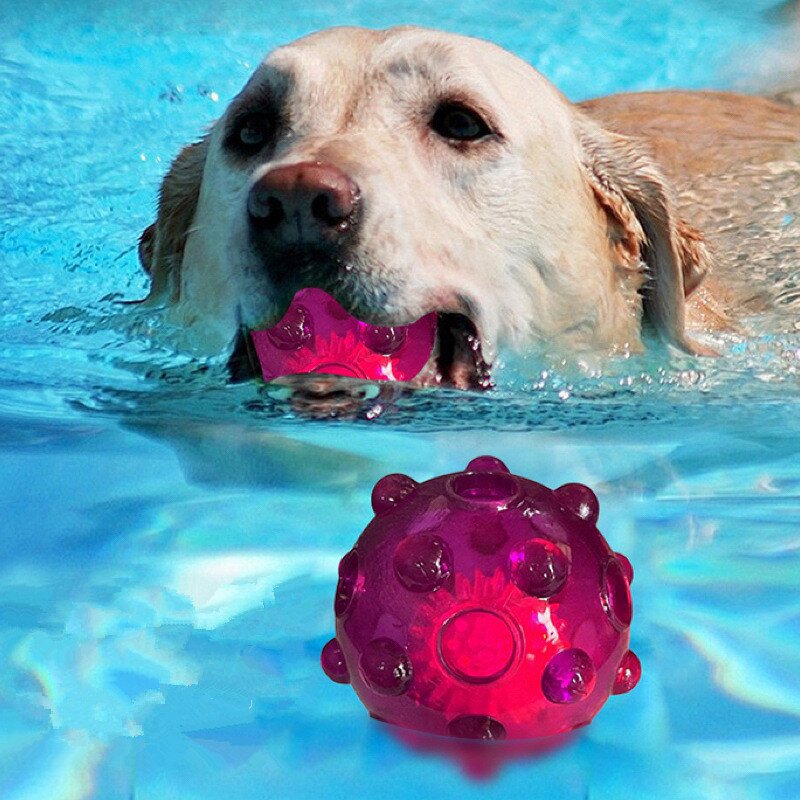 Dog Toy Ball Factory - LED Light Hollow Squeaky Toy