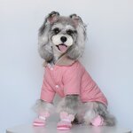 Pet Apparel & Clothes
