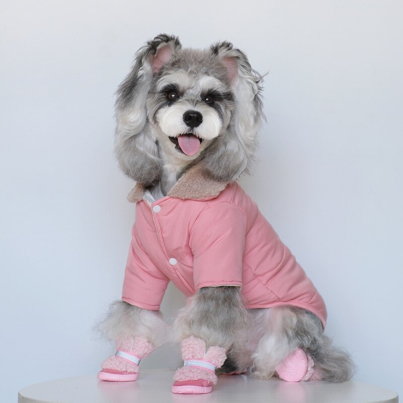 Pet Clothing Factory - Winter Padded Dog Jacket Outfits