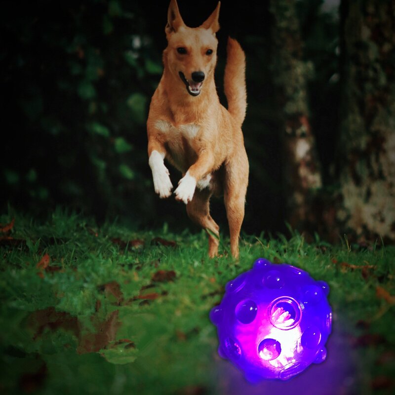 Dog Toy Ball Factory - LED Light Hollow Squeaky Toy