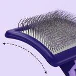 Pet Accessories & Grooming