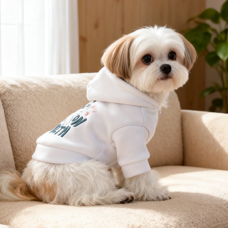 Pet Hoodies Factory - Dog Warm Coat Outfit Supplier