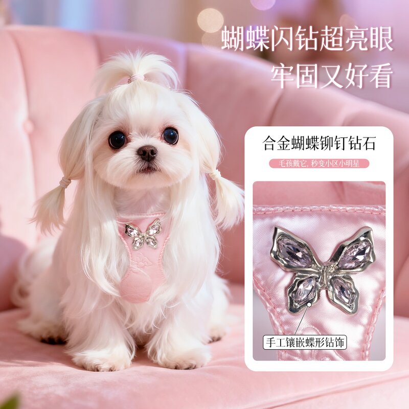 Pet Harness Set Factory - Luxury Sweet Small Dog Set