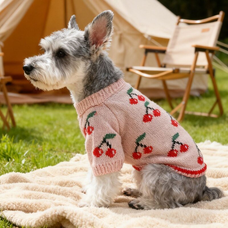 Pet Sweater Factory - Pink Cherry Pattern Jacket Supplier