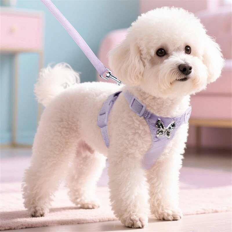 Pet Harness Set Factory - Luxury Sweet Small Dog Set