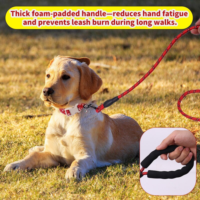 Pet Collar Factory - Christmas Collar with Leash Set