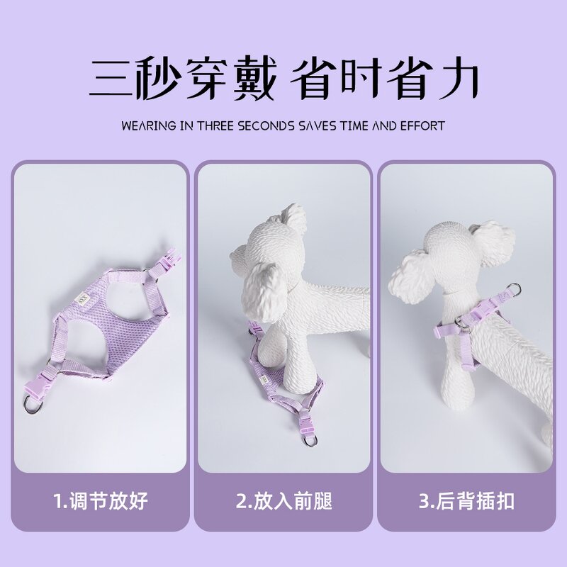 Pet Harness Set Manufacturer - Daisy Print Small Dog Set