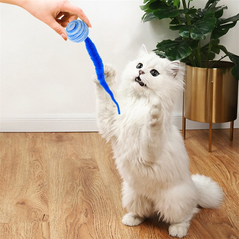 Pet Cat Toys Manufacturer - EVA Foam Rainbow Ball Toy