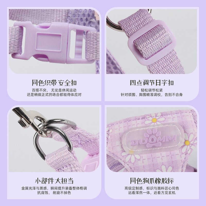 Pet Harness Set Manufacturer - Daisy Print Small Dog Set