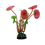 Aquarium Accessories