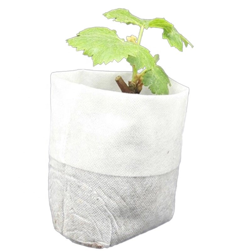 Nursery Seedling Bag Manufacturer - Factory Biodegradable Non Woven Pot