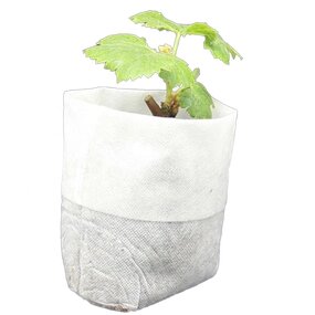 Seedling Bag Factory - Biodegradable Breathable Non Woven Fabric Bag