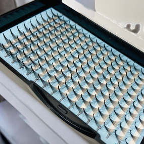 Point Base Premade Fan Factory - 0.07D 5D-12D Mix Camellia