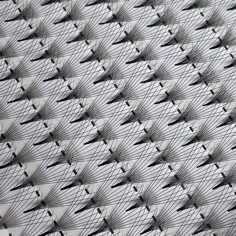 10D Premade Lash Fans Factory - High Quality 0.05 CC