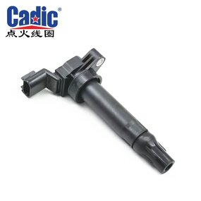 Ignition Coil Factory - OEM Custom Private Label