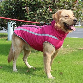 Dog Coat Factory - OEM/ODM Rainproof Reflective Windproof Warm Coat