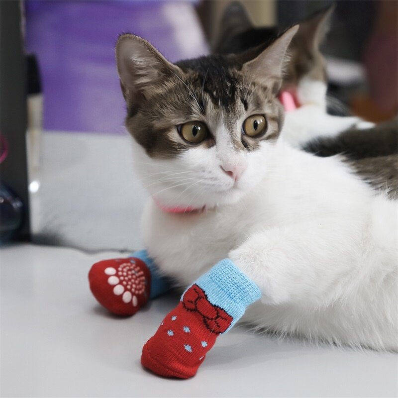 Pet Socks Manufacturer - OEM/ODM Christmas Carteon Print Anti Slip