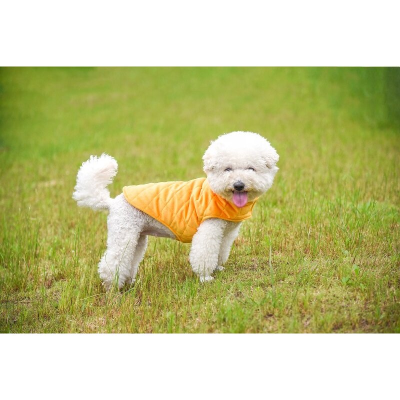 Dog Jacket Manufacturer - OEM/ODM Fleece Lined Warm for Cold Weather
