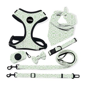 Dog Harness Set Factory - OEM/ODM Custom Logo No Pull Soft Vest
