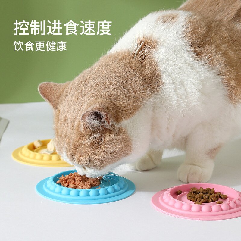 Pet Birthday Bowl Factory - OEM/ODM Multifunctional Cake Bowl with Candle