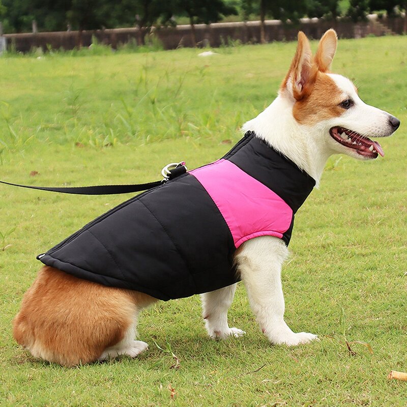 Dog Jacket Manufacturer - OEM/ODM Wholesale Waterproof Warm Winter Coat