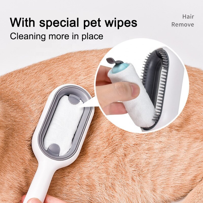 Pet Brush Manufacturer - OEM/ODM New Design Water Tank Sticky Hair Brush