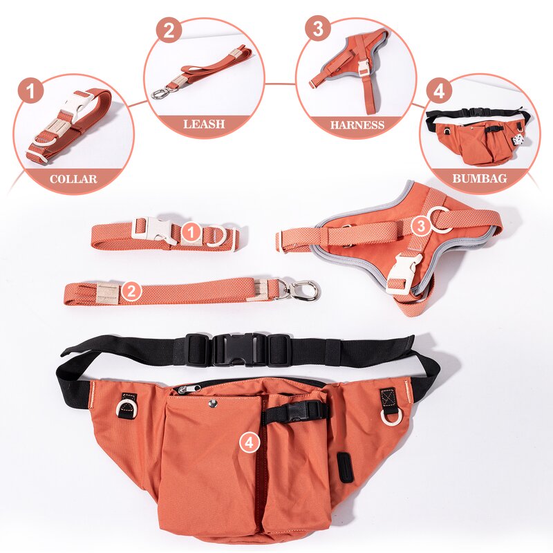 Dog Harness Set Manufacturer - OEM/ODM Custom Biodegradable Buckles Set