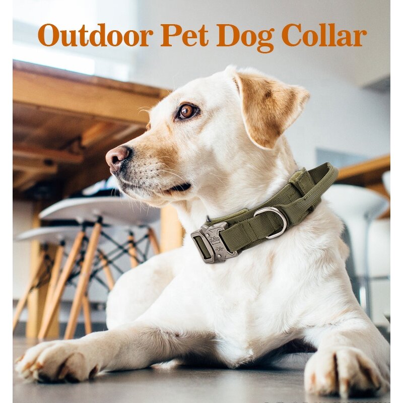 Dog Collar Factory - OEM/ODM High Quality Heavy Duty Tactical Set