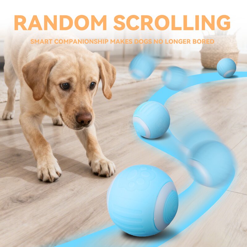 Interactive Pet Toy Manufacturer - OEM/ODM Smart Ball for Cat Dog