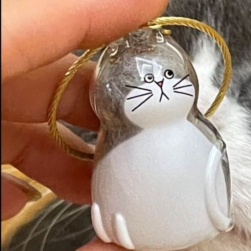 Pet Hair Memorial Manufacturer - OEM/ODM Transparent Keepsake Capsule