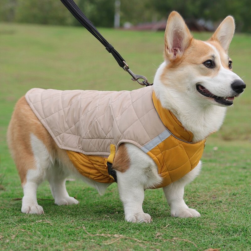 Pet Warm Coat Manufacturer - OEM/ODM Easily Wear Cotton Winter Vest