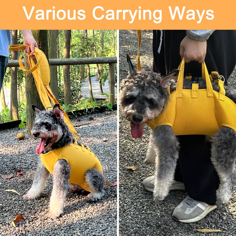 Pet Carrier Factory - OEM/ODM Custom Logo Multifunction Backpack Tote