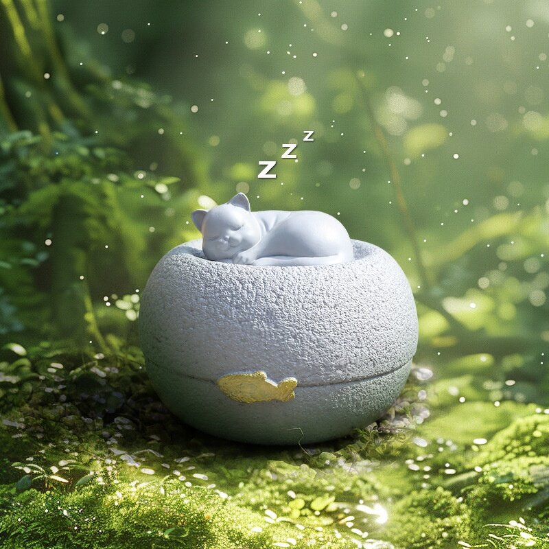 Pet Urn Manufacturer - OEM/ODM Resin Hair Teeth Whiskers Organiser