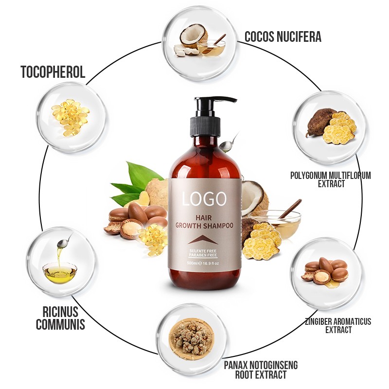 Hair Growth Shampoo Manufacturer - Bulk Ginger Mint Argan Oil Anti-Itching