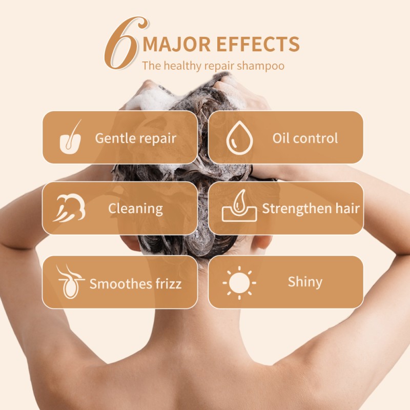 Shampoo Factory - Bulk Collagen Repair Oil Control Strengthen