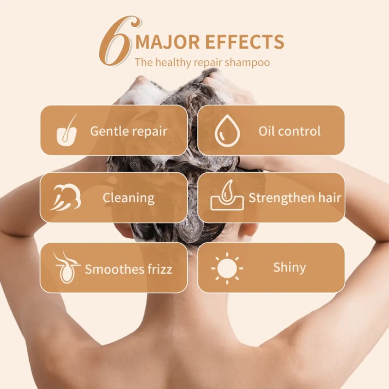 Hair Shampoo and Conditioner Supplier - Bulk Vegan Argan Oil Repair