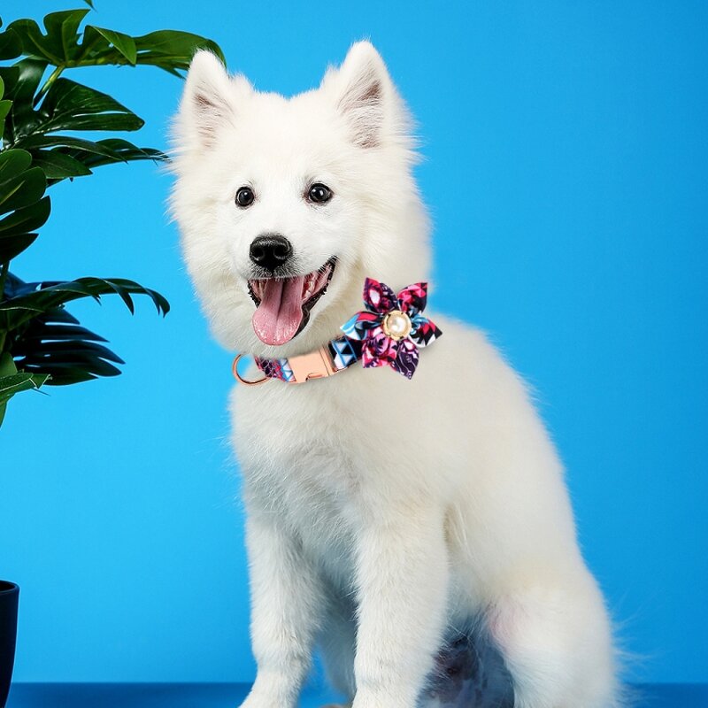 Pet Collar Manufacturer - OEM/ODM Custom Adjustable Engraved Collar