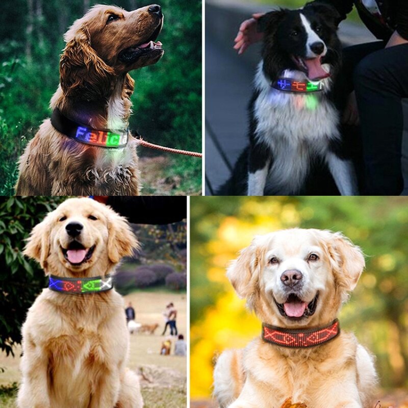 Pet Collar Manufacturer - OEM/ODM Custom Rechargeable LED Collar