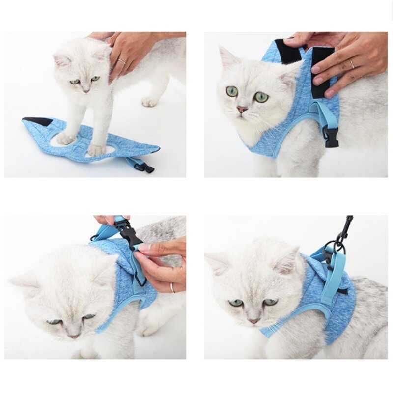 Pet Harness Manufacturer - OEM/ODM Custom Breathable Cat Chest Harness