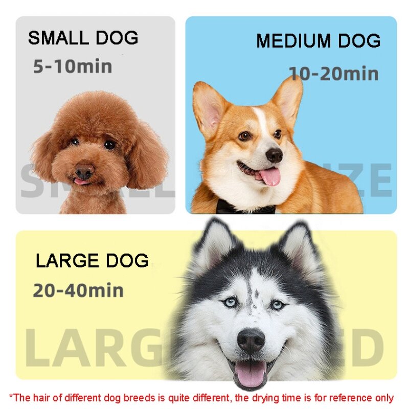 Pet Dryer Manufacturer - OEM/ODM Custom High Power Pet Hair Blower