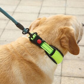 Dog Collar Manufacturer - OEM/ODM Custom Breathable Reflective Collar