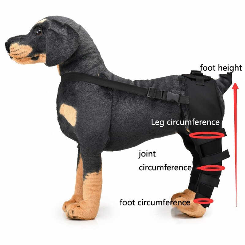 Dog Leg Guard Manufacturer - OEM/ODM Custom Knee Protective Cover