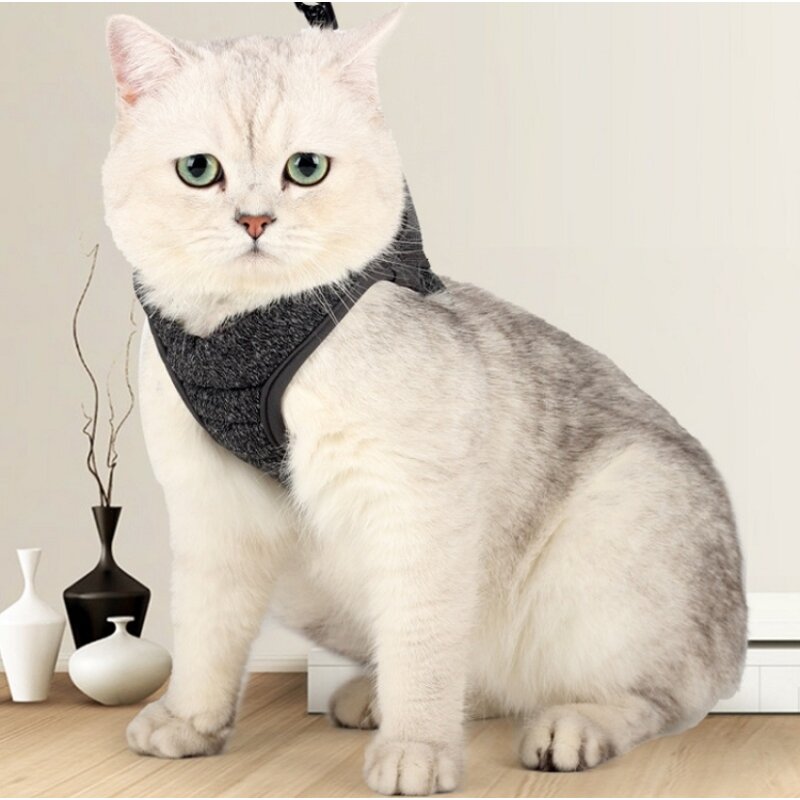 Pet Harness Manufacturer - OEM/ODM Custom Breathable Cat Chest Harness