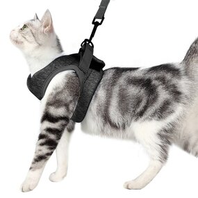 Pet Harness Manufacturer - OEM/ODM Custom Breathable Cat Chest Harness