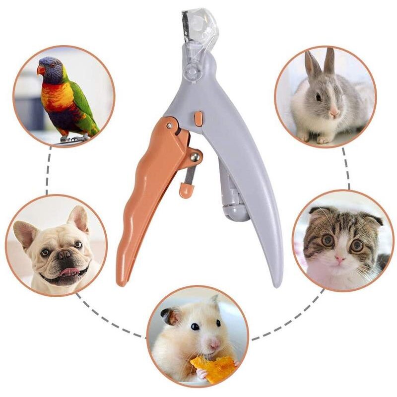 Pet Nail Clippers Manufacturer - OEM/ODM Custom LED Light Nail Clipper