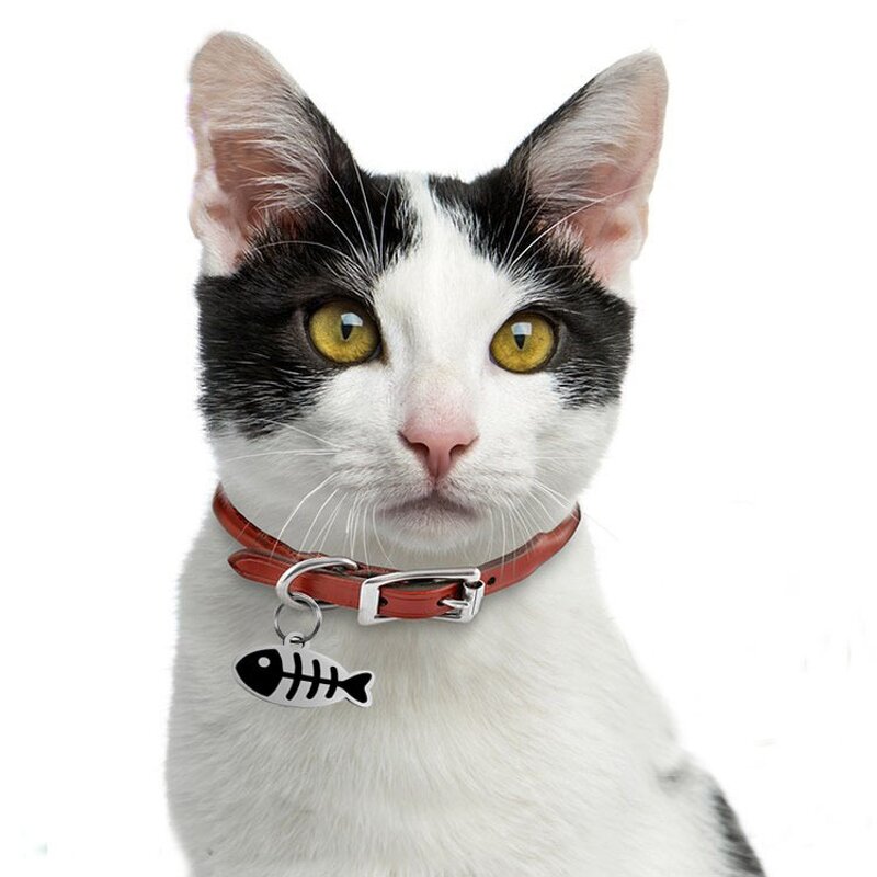 Cat Collar Pendant Manufacturer - OEM/ODM Custom Angora Cat Collar Jewelry