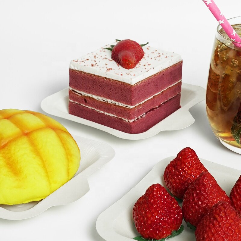 Sugarcane Tray Supplier - Custom Dessert Cake Snack Takeaway