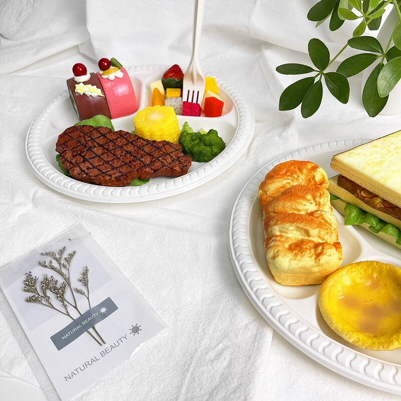 Biodegradable Food Plate Supplier - Custom 10 Inch 3 Compartment